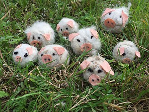 Filzschweine